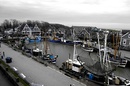 Hafen Neuharlingersiel von oben