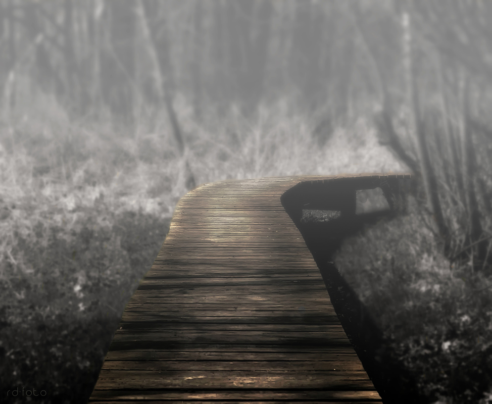 der Weg ins Nichts