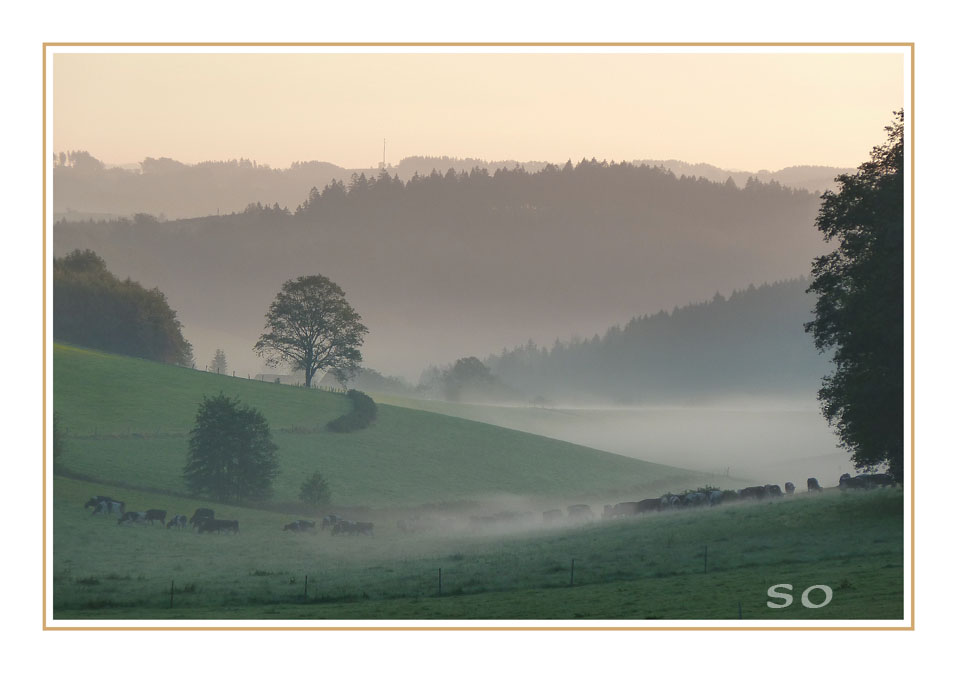 ...mit Blick ins Sauerland