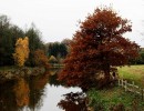 Herbst an der Hunte
