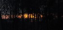 Sonnenuntergang am 14.12.2008
