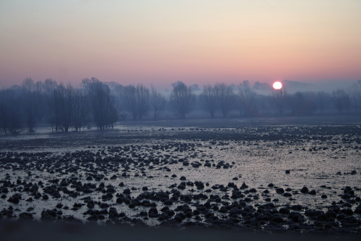 Kalt wars in der Disselmersch bei Lippborg