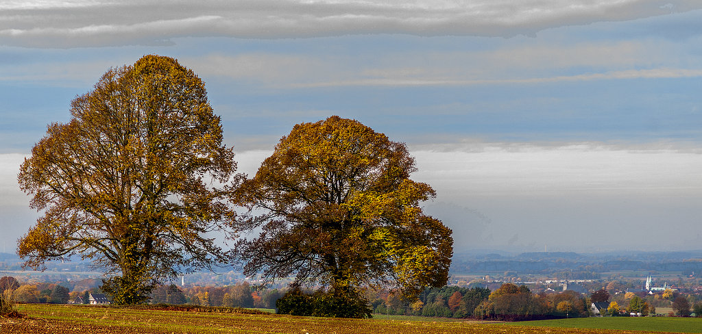 Herbst auf der Haar.