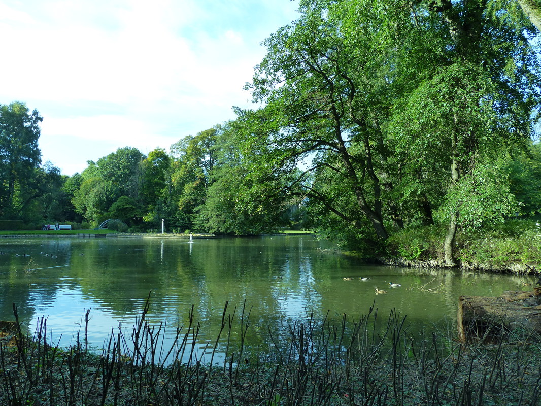 Gräflicher Park Spa 5