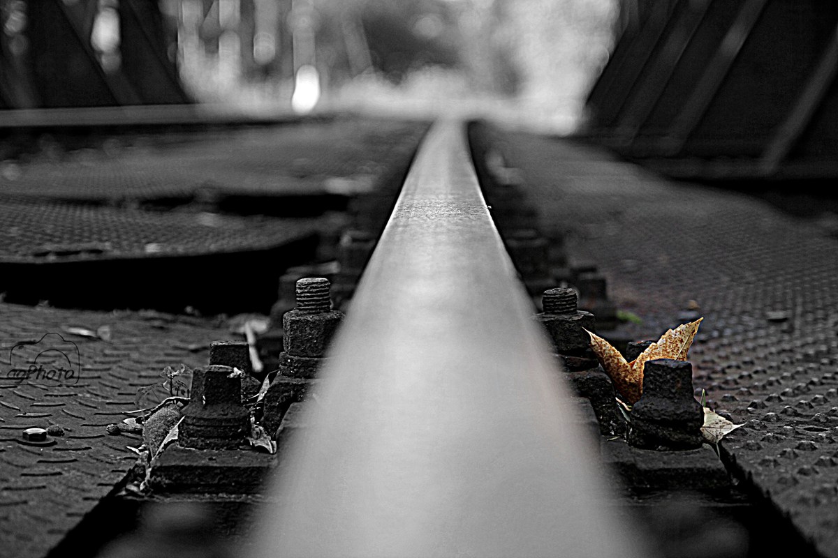 der Weg in`s ungewisse