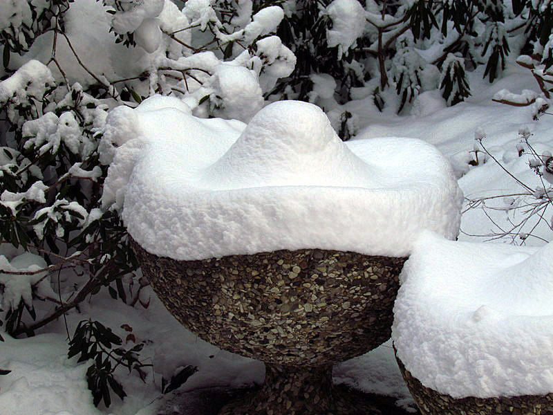 So überwintern Mexikaner