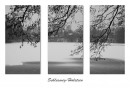 Fotos_Winter