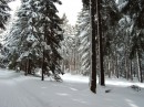 Harzwinter