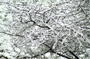Schnee von Heute 291112