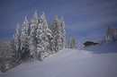 Fotos_Winter
