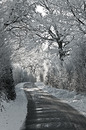 Fotos_Winter