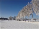 Winterlandschaft....