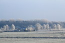 Bereift