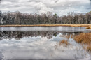 Hochmoor im Winter