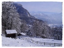 Winterliches 11