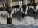 Travemünde 2 sau kalt