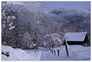 Winterliches 21