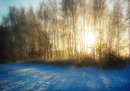 Winterlandschaft