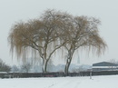 Spaziergang im Schnee