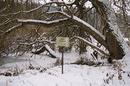 selbst im Winter (s. Schild)
