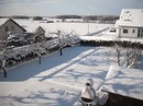 Schneelandschaft Buch !