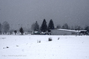 SCHNEE & SCHNEE