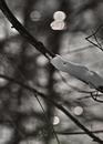 Winterimpressionen