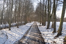 Wanderweg im Winter