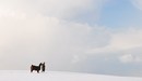 Journey