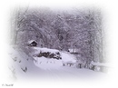 Winterliches 43