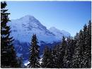 Eigernordwand (Bussalp1)