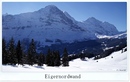 Bussalp 4