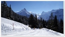 Bussalp 5