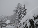 Schnee 1 
