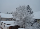 Schnee 2 