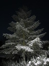 Schnee 4