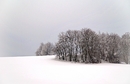 Februartag - I