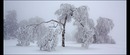 Wintertraum