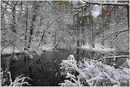 Fotos_Winter