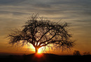 Abend