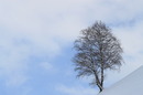 Fotos_Winter