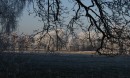 Winter-26