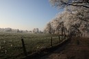 Winter-30