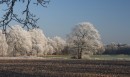 Winter-34
