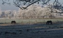 Winter-35