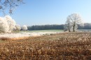 Winter-37