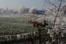 Winter-41