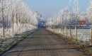 Winter-47