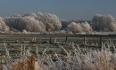 Winter-48
