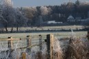 Winter-49